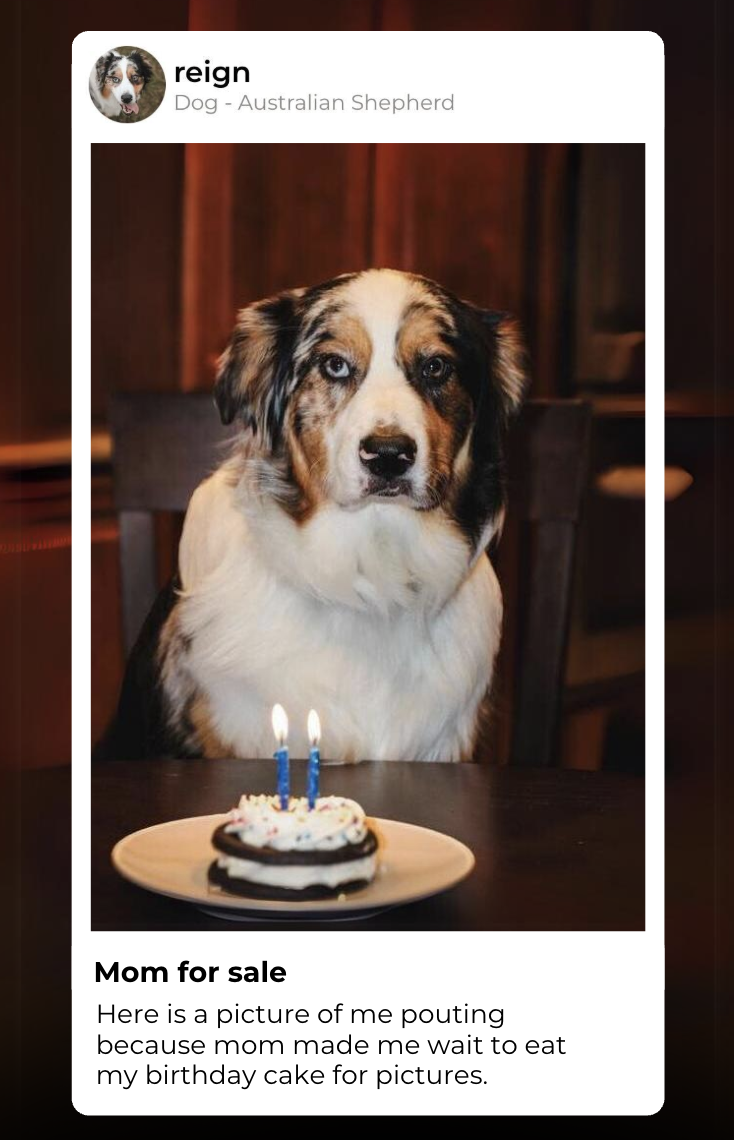 Screenshot 2026-01-20 at 9.03.18 PM.png