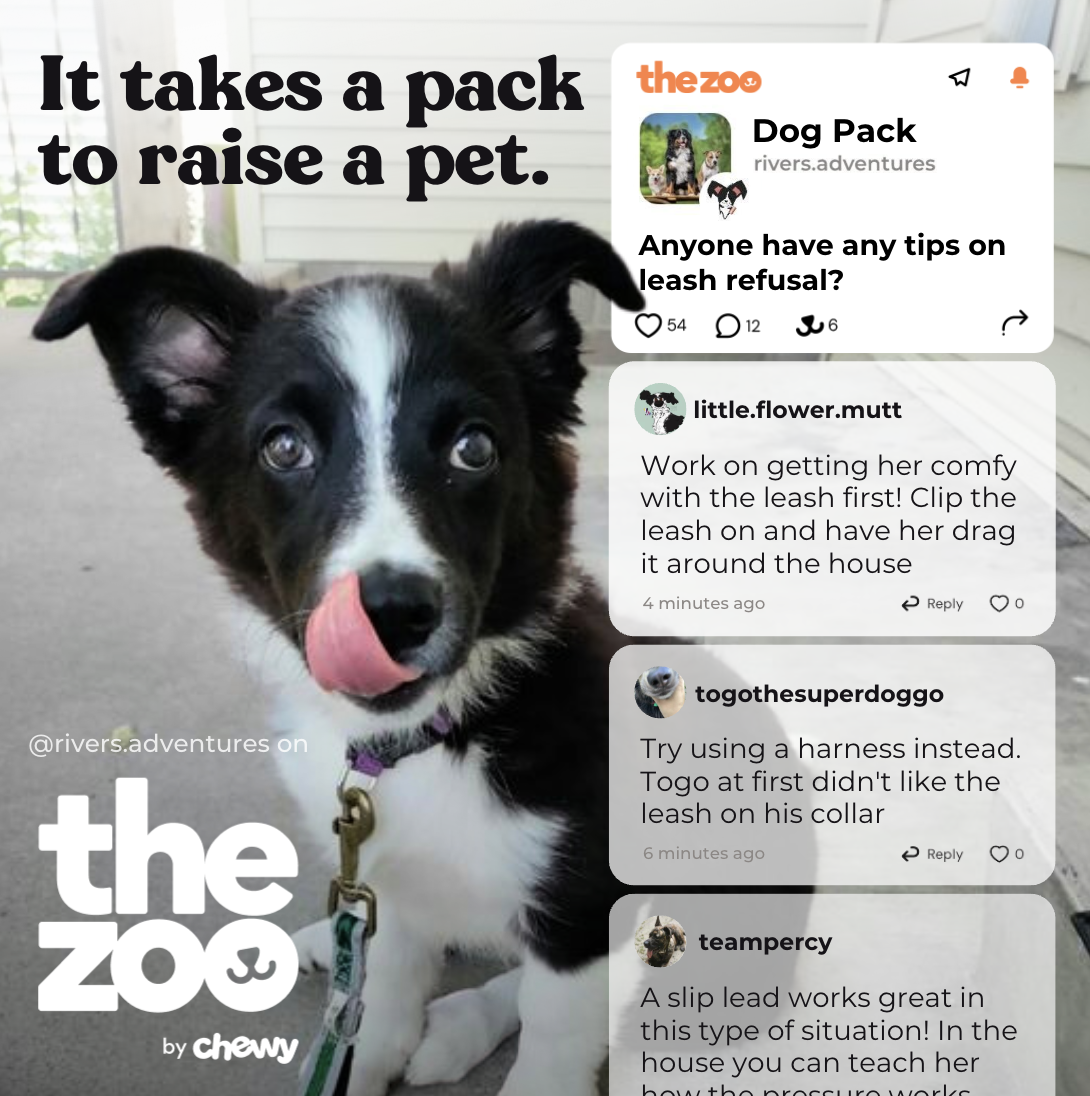 Screenshot 2026-01-20 at 10.10.17 PM.png