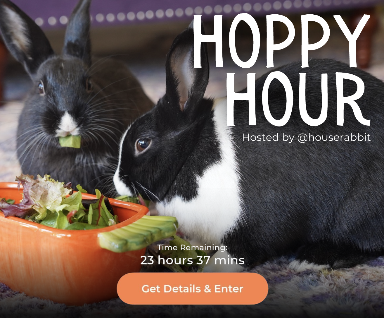 Screenshot 2026-01-20 at 10.12.30 PM.png