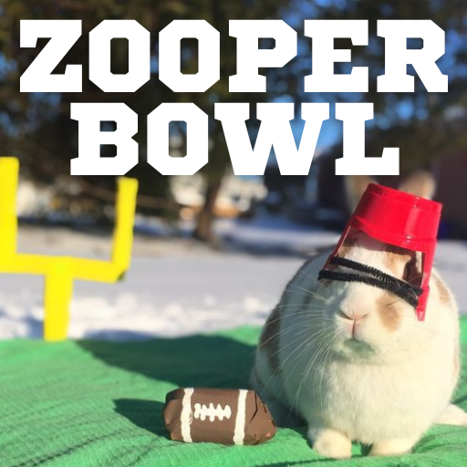 Zooper Bowl thumbnail.png