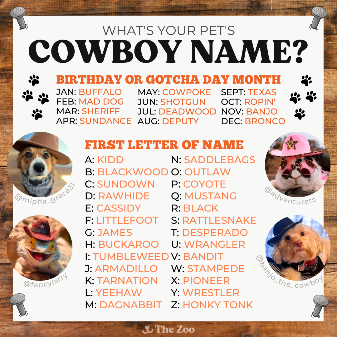 Cowboy Name graphic.png