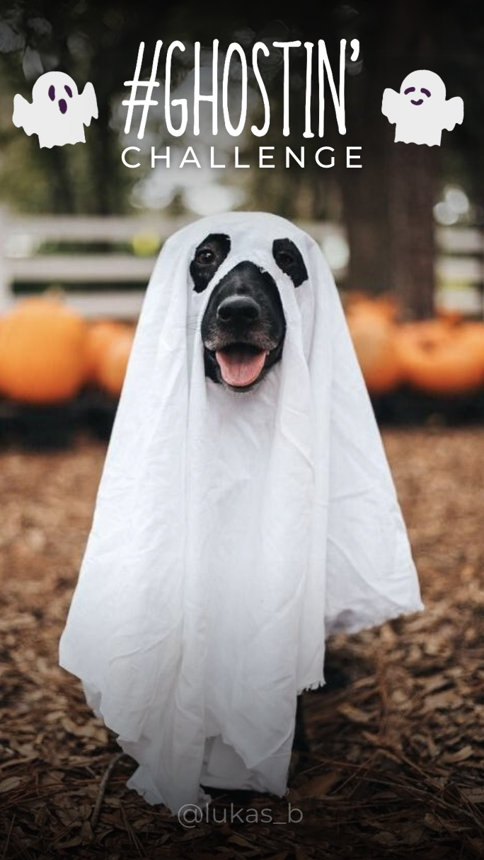 Screenshot 2026-01-20 at 9.02.32 PM.png