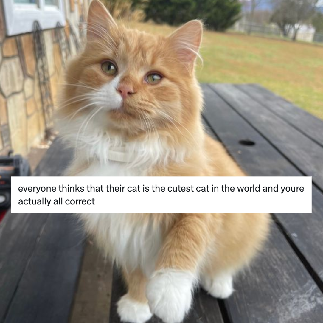 Screenshot 2026-01-20 at 10.09.19 PM.png