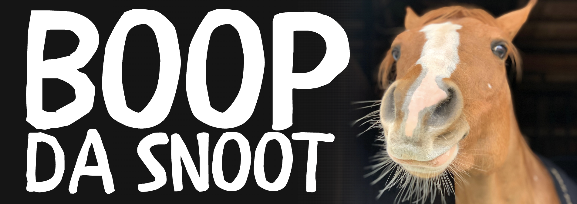 Screenshot 2026-01-20 at 10.17.46 PM.png