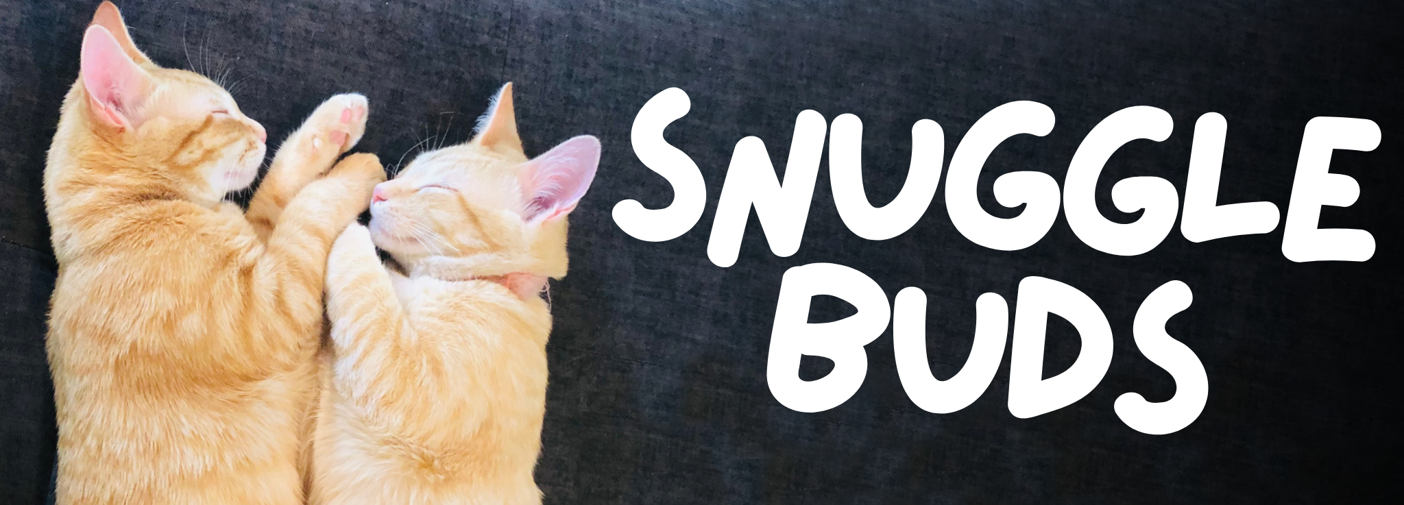 Snuggle Buds banner.png