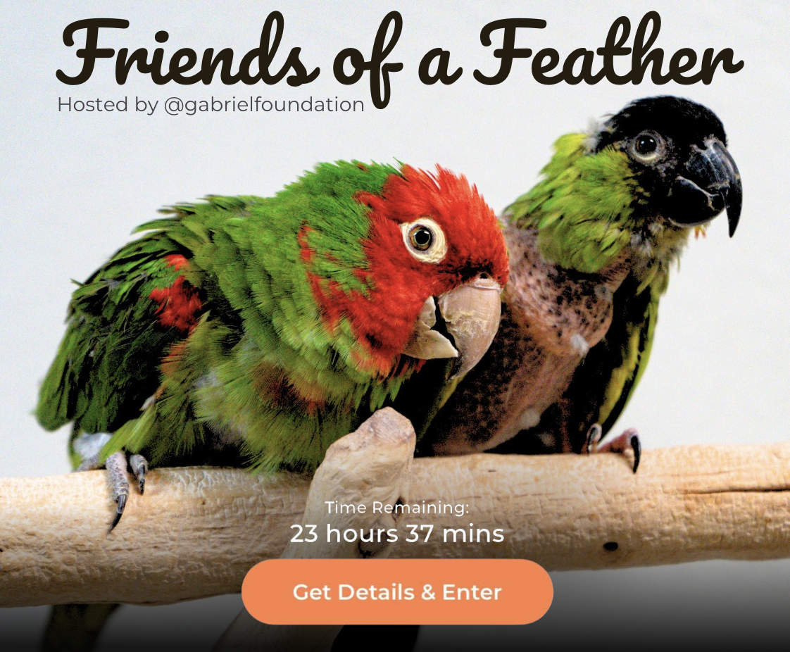 Screenshot 2026-01-20 at 10.12.18 PM.png