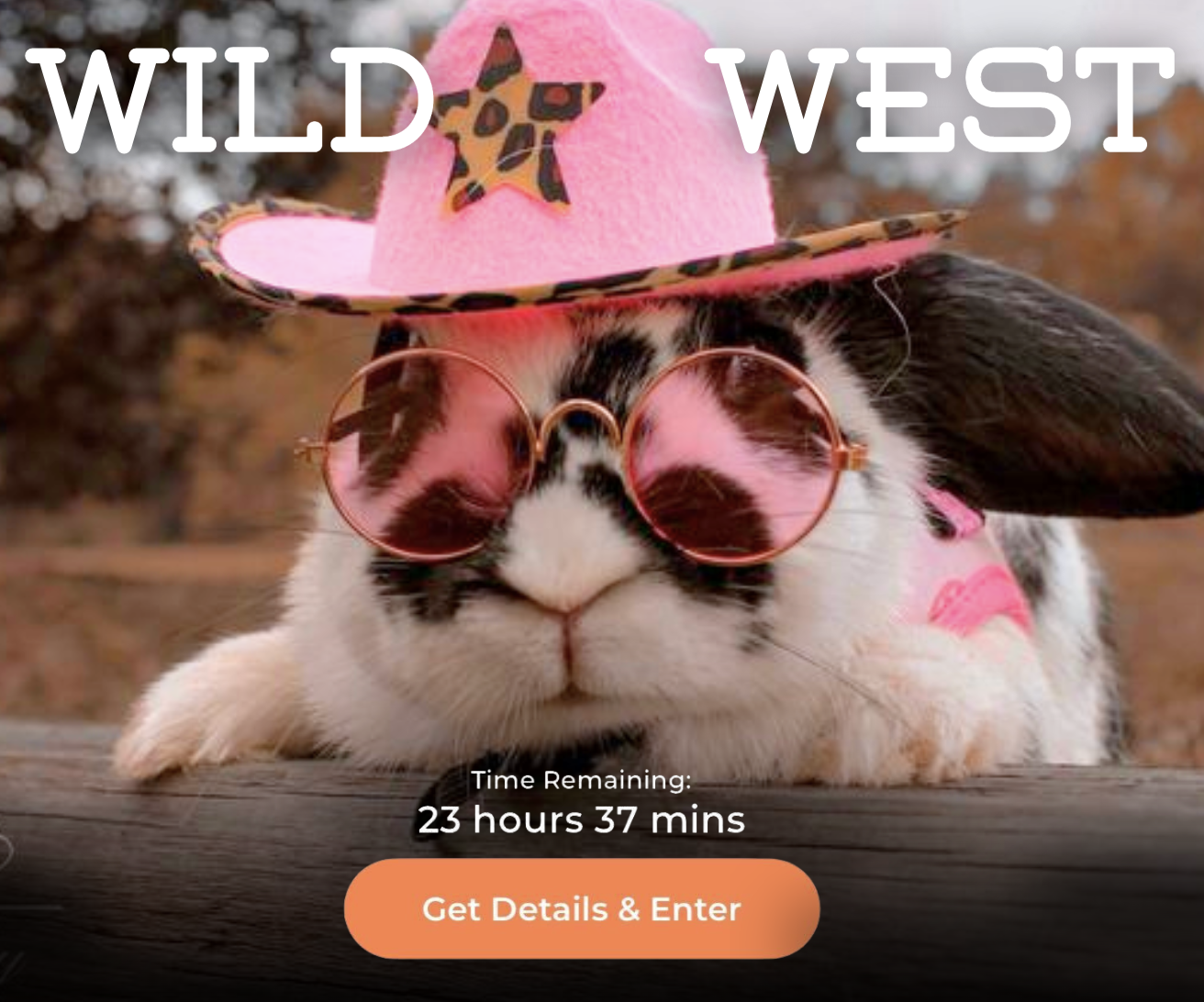 Screenshot 2026-01-20 at 10.13.03 PM.png