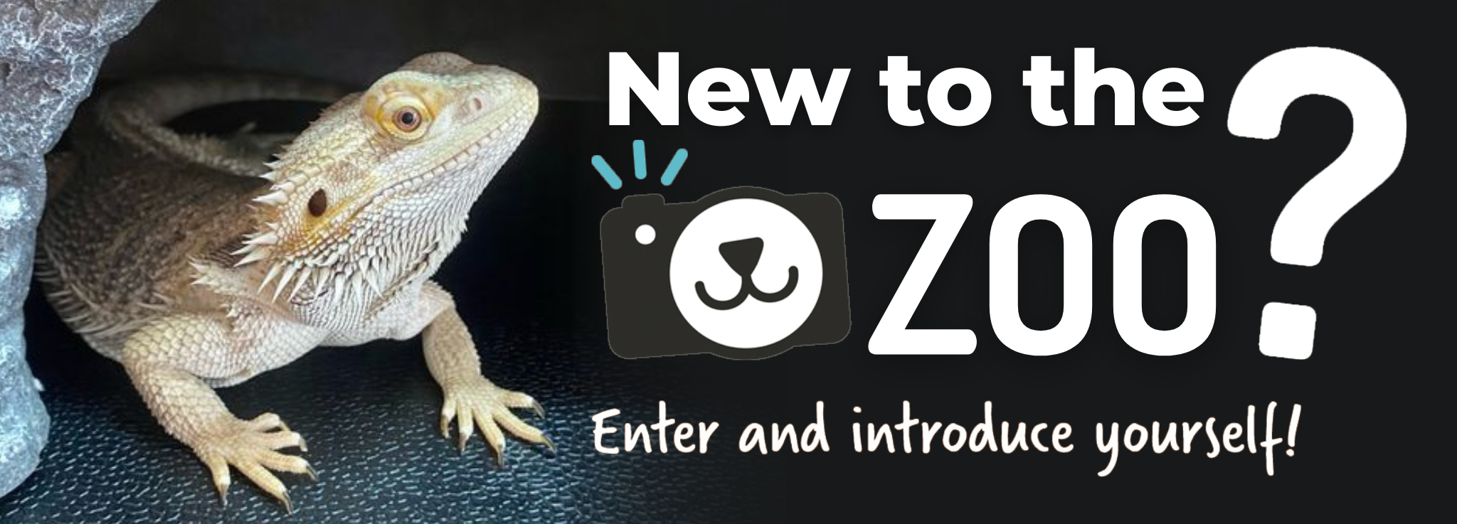 New Crew Jan 6 banner.png