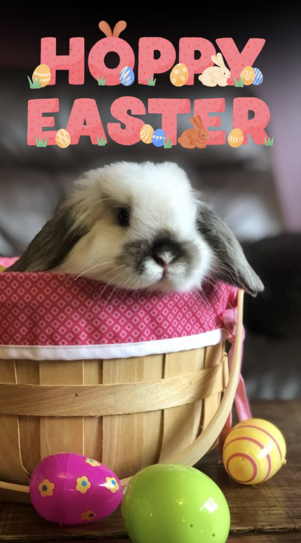 Screenshot 2026-01-20 at 9.52.03 PM.png