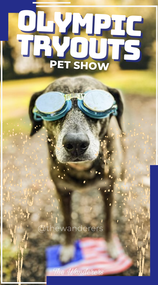 Screenshot 2026-01-20 at 10.10.56 PM.png