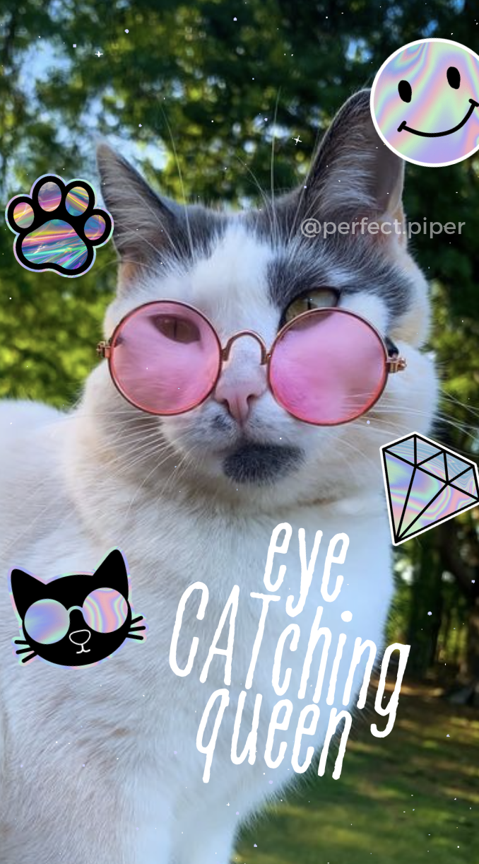 Screenshot 2026-01-20 at 9.47.18 PM.png