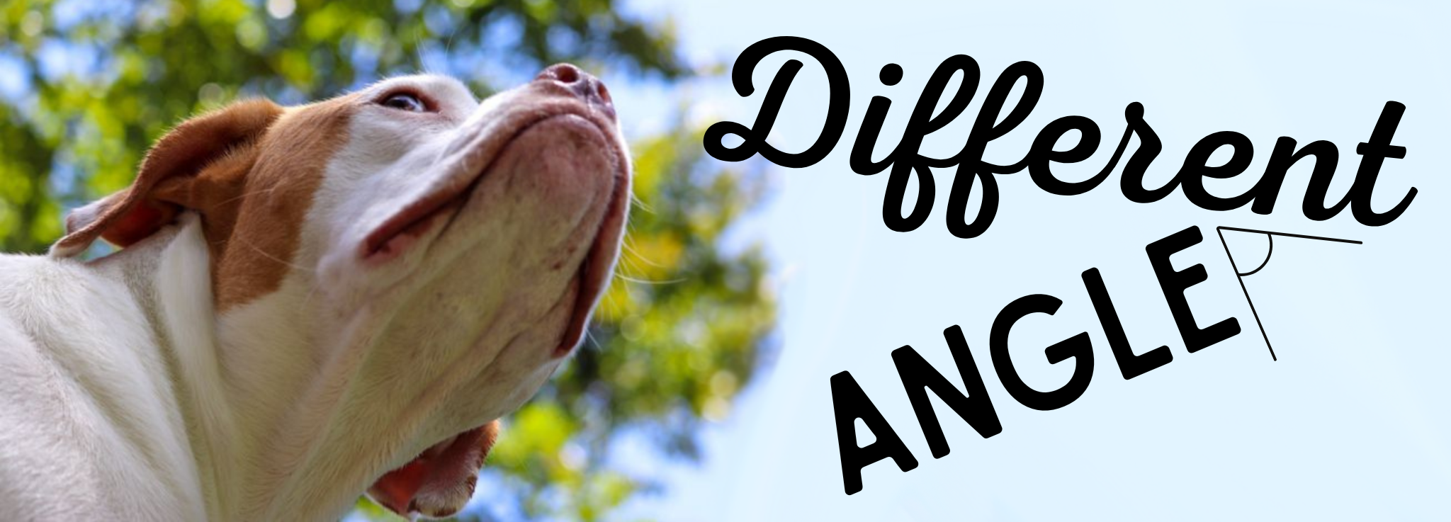 Different Angle Banner.png