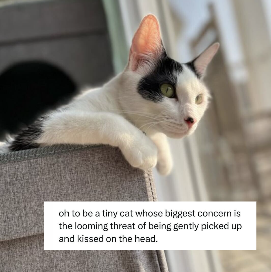 Screenshot 2026-01-20 at 10.09.30 PM.png