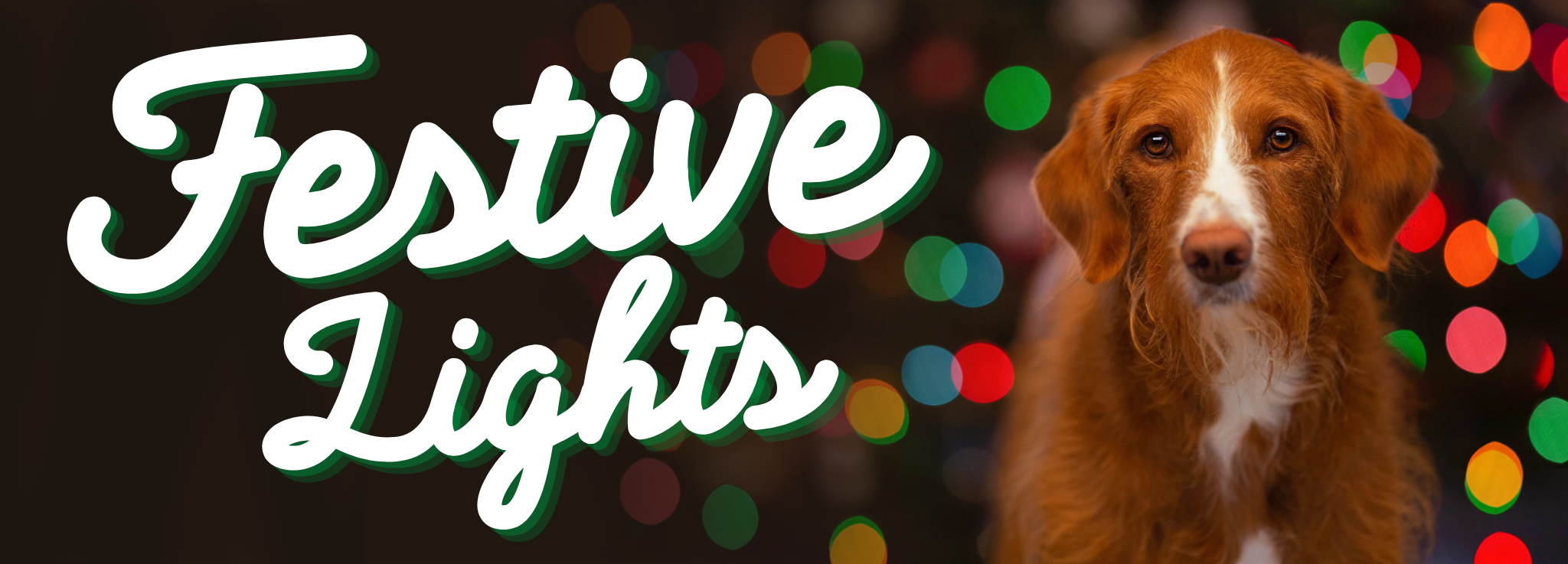 Festive Lights banner.png