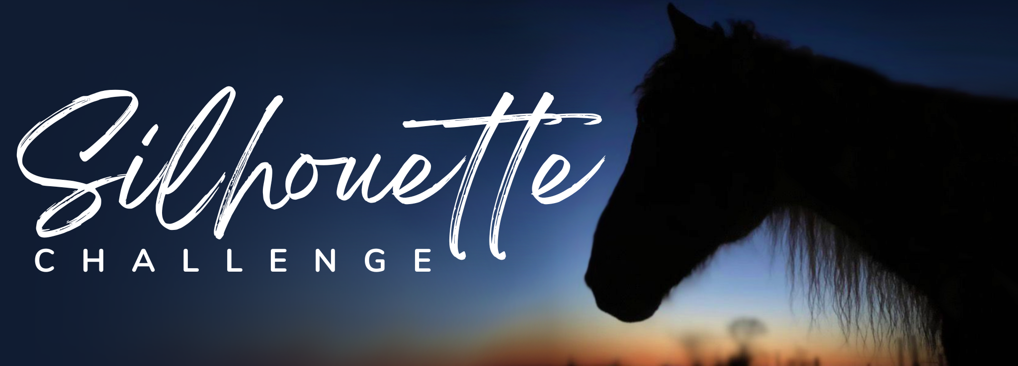 Silhouette Challenge banner.png