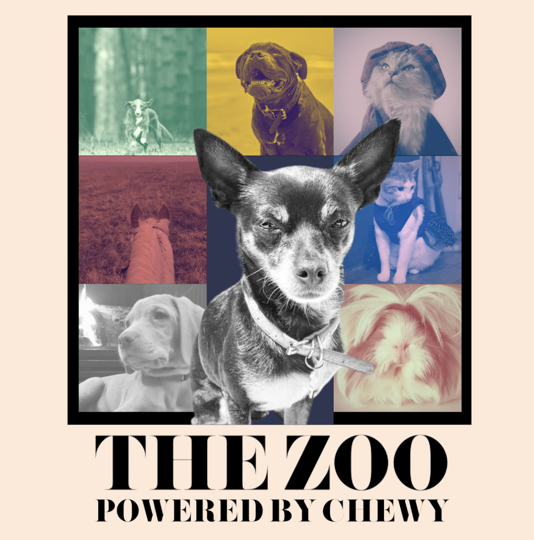 Screenshot 2026-01-20 at 9.55.13 PM.png