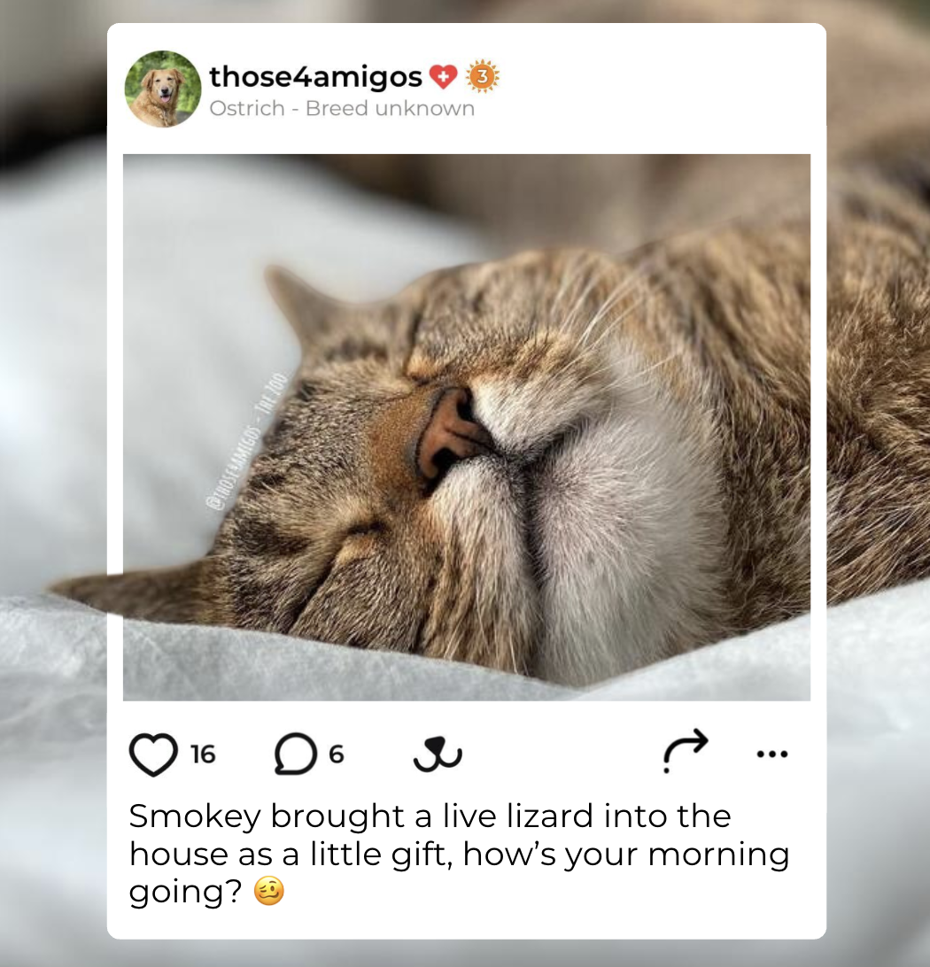 Screenshot 2026-01-20 at 10.03.49 PM.png