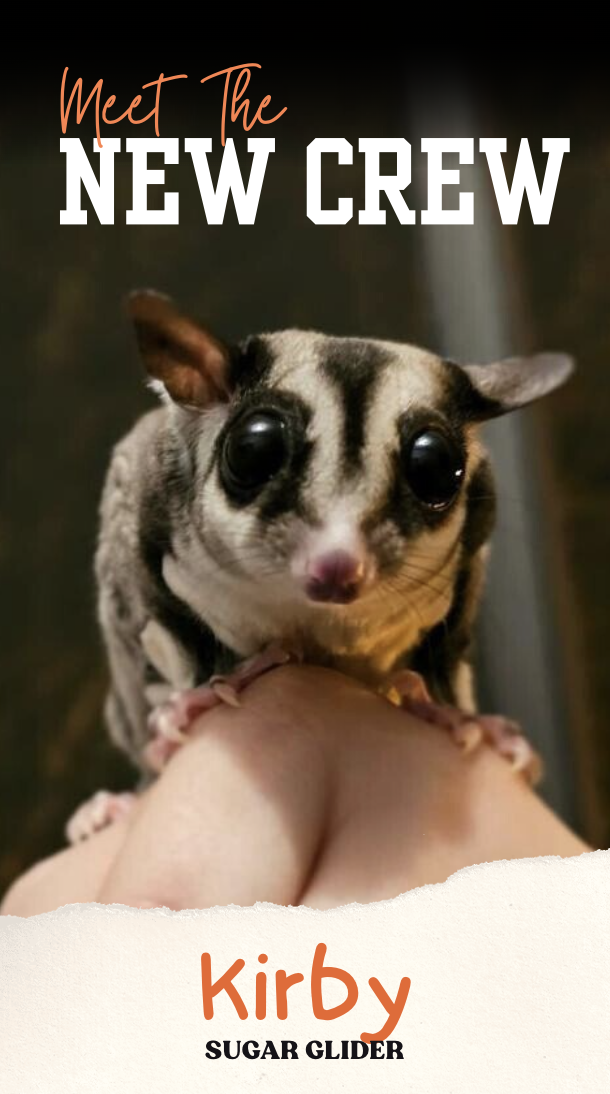 Screenshot 2026-01-20 at 9.50.39 PM.png