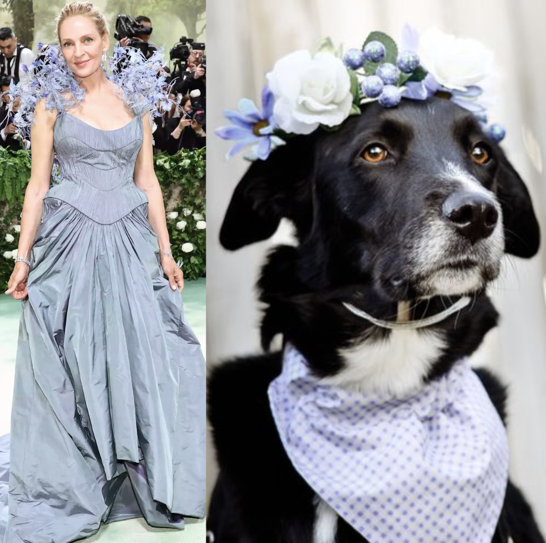 Screenshot 2026-01-20 at 10.04.40 PM.png