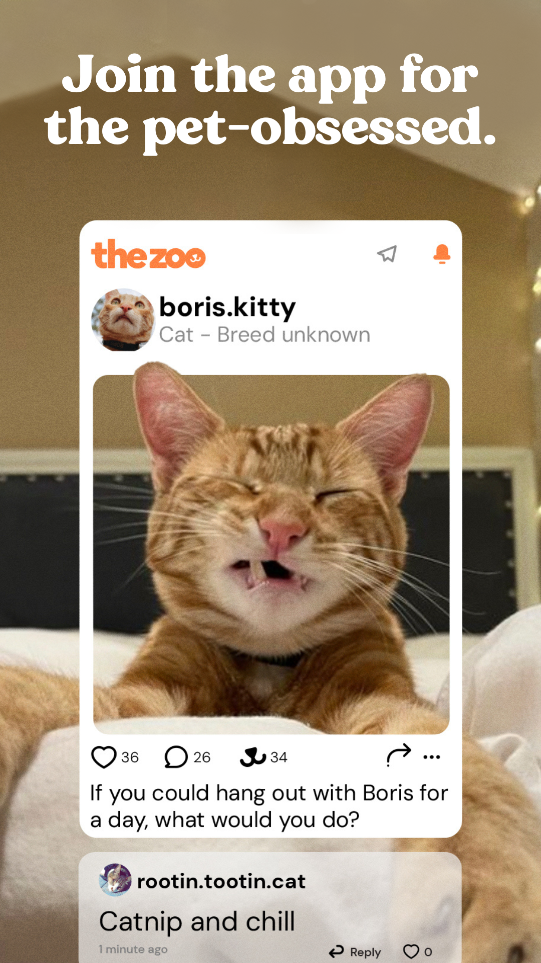 National Shelter Appreciation Week.png