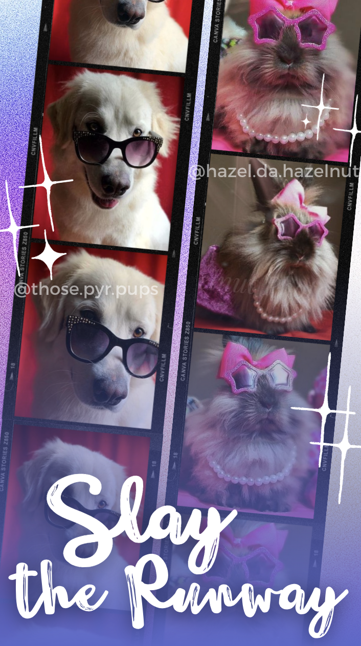 Screenshot 2026-01-20 at 8.59.16 PM.png