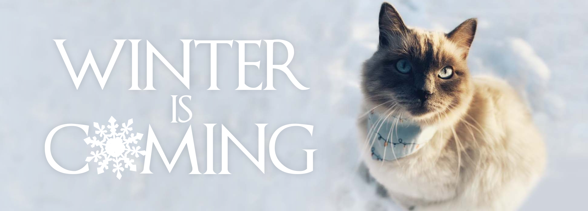 Winter Is Coming banner.png