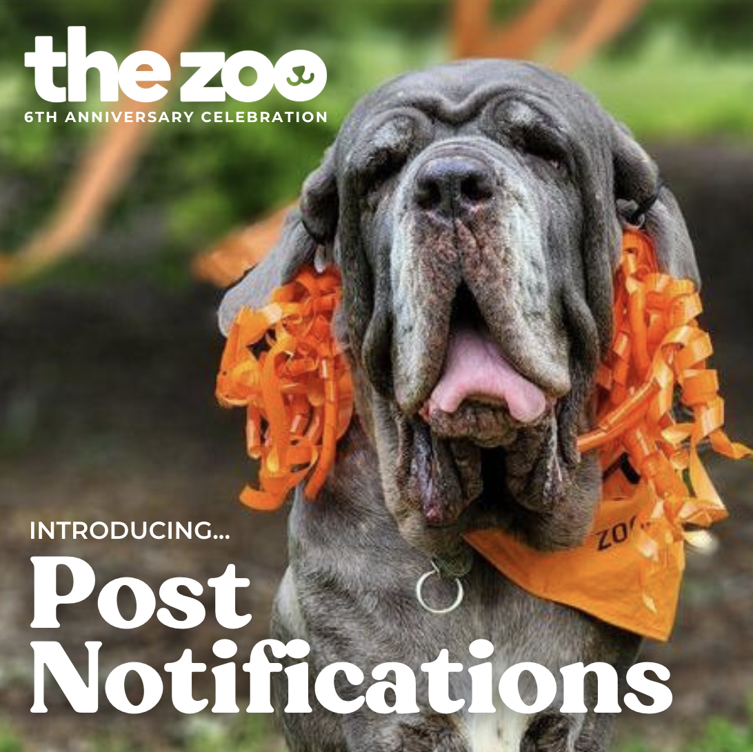 Screenshot 2026-01-20 at 9.59.49 PM.png