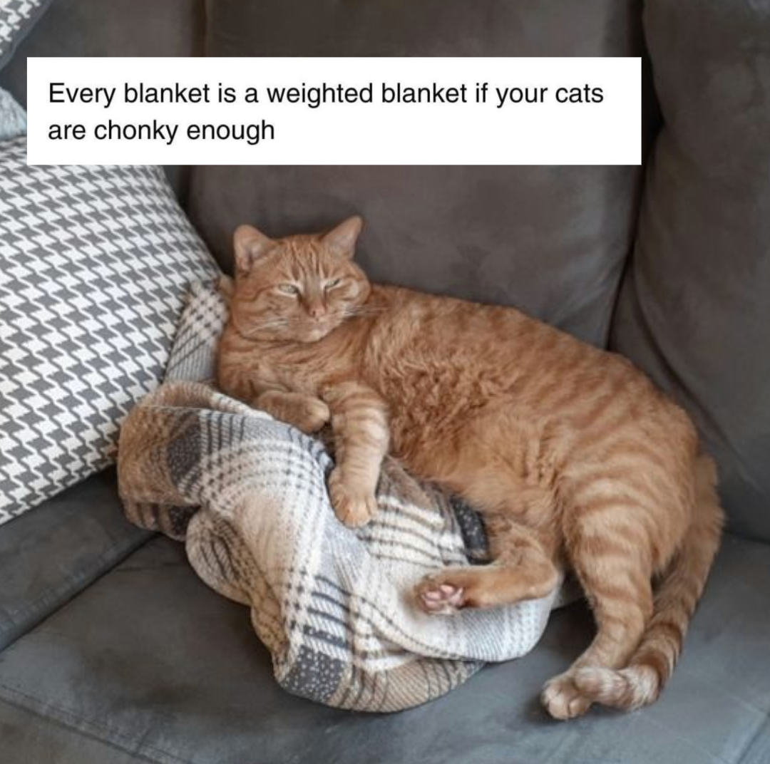 Screenshot 2026-01-20 at 10.09.13 PM.png