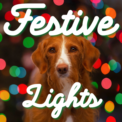 Festive Lights thumbnail.png