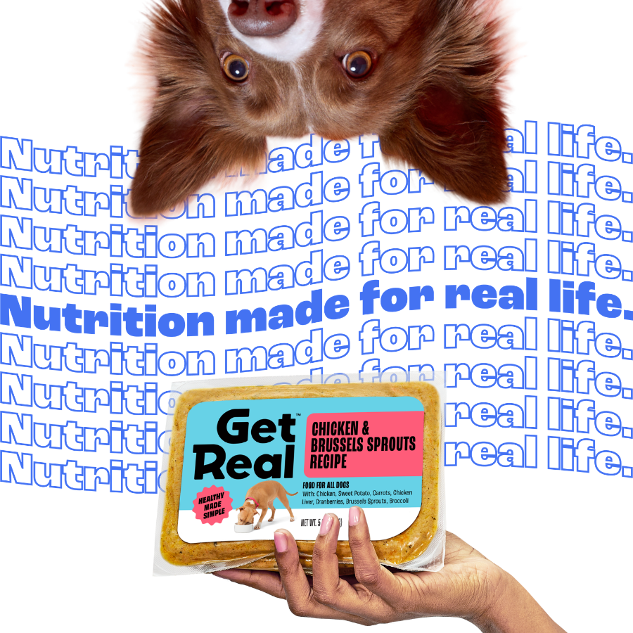 Thank You Bag - 1x1.png
