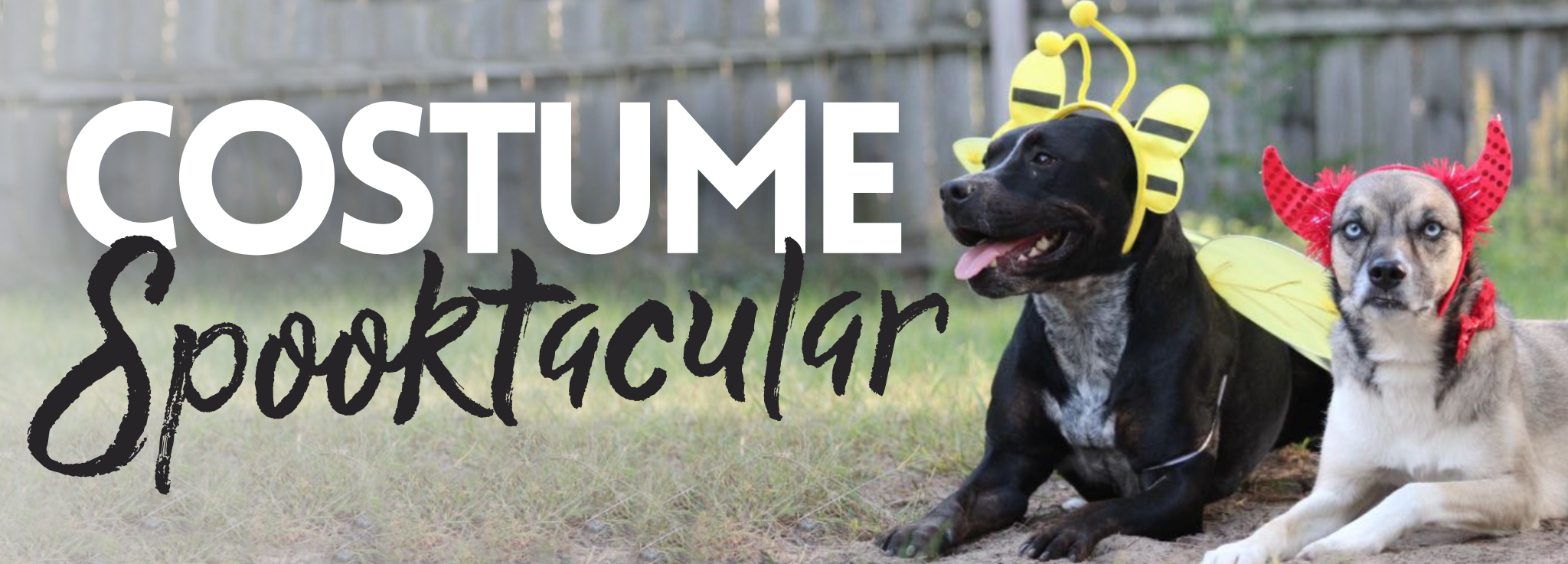 Costume Spooktacular banner.png