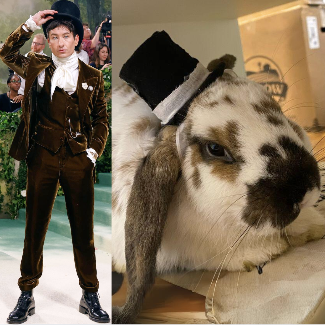 Screenshot 2026-01-20 at 10.04.33 PM.png