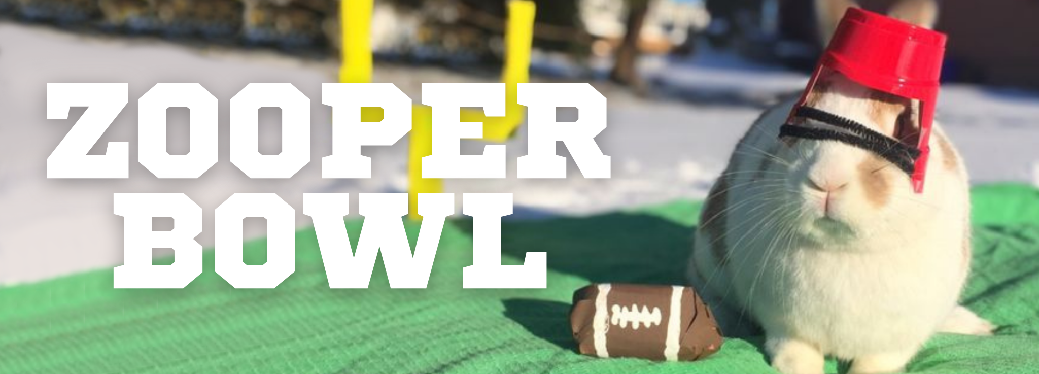 Zooper Bowl banner.png