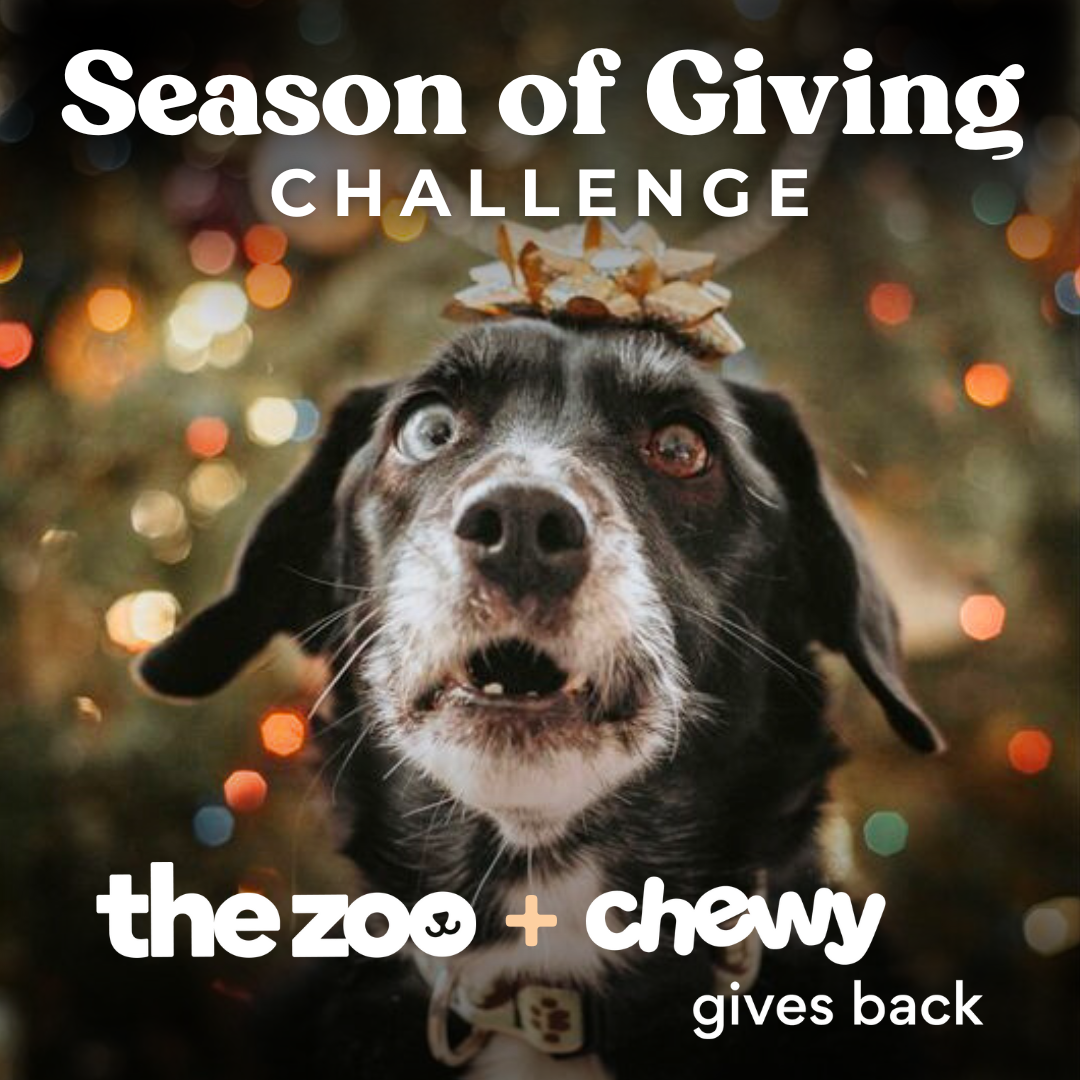 Season Of Giving.png