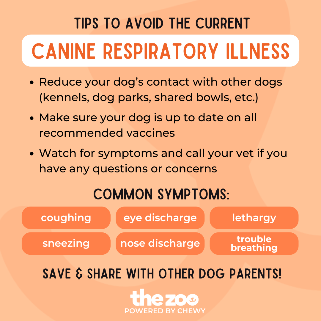 Mystery dog illness.png