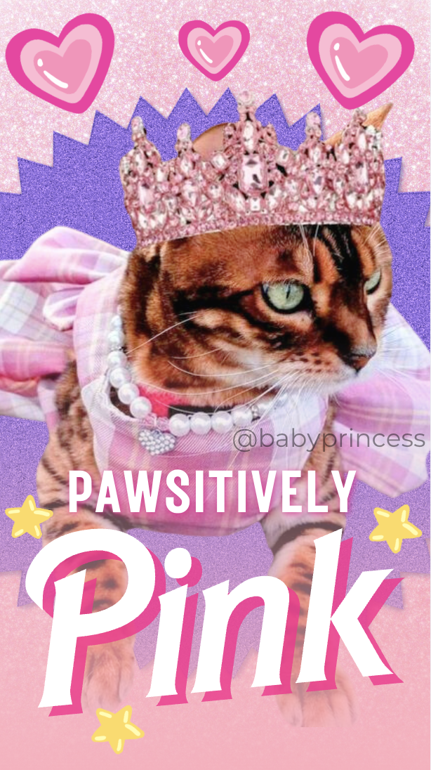 Screenshot 2026-01-20 at 9.48.37 PM.png