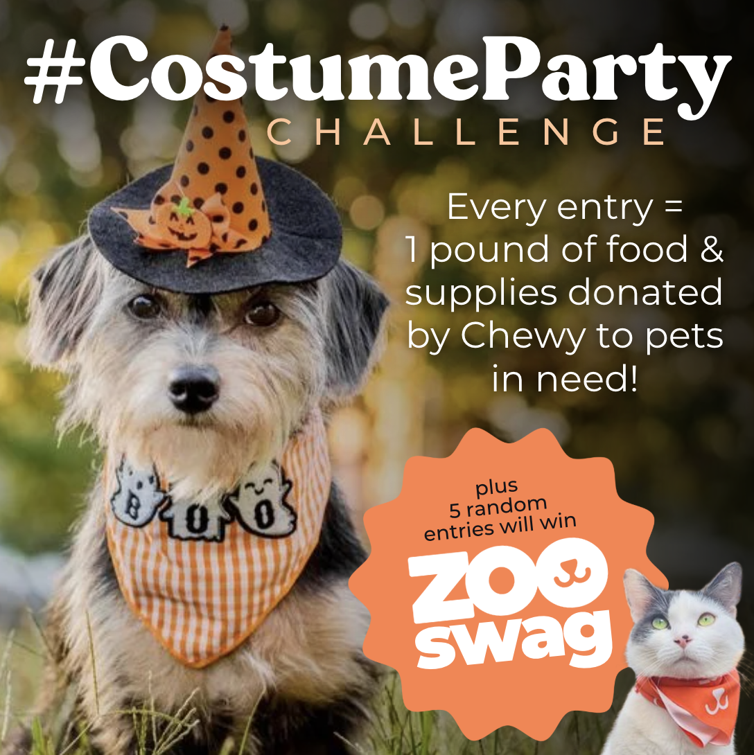 Screenshot 2026-01-20 at 9.58.31 PM.png