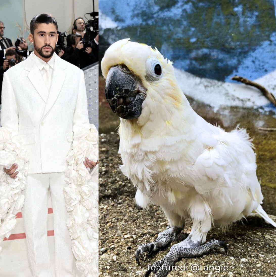 Screenshot 2026-01-20 at 10.05.15 PM.png