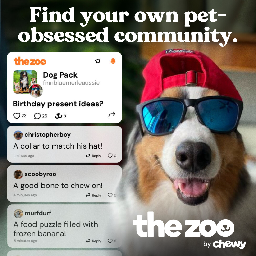 Find your own pet- obsessed community..png
