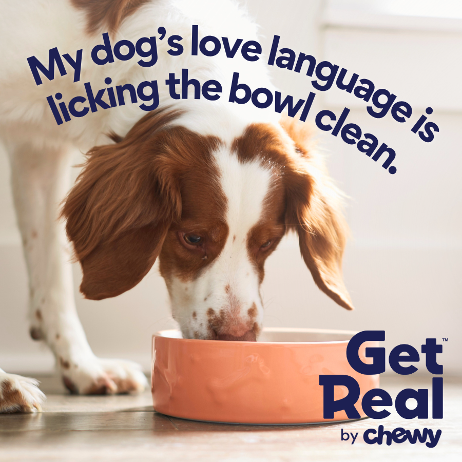 Love Language - 1x1 - by Chewy.png
