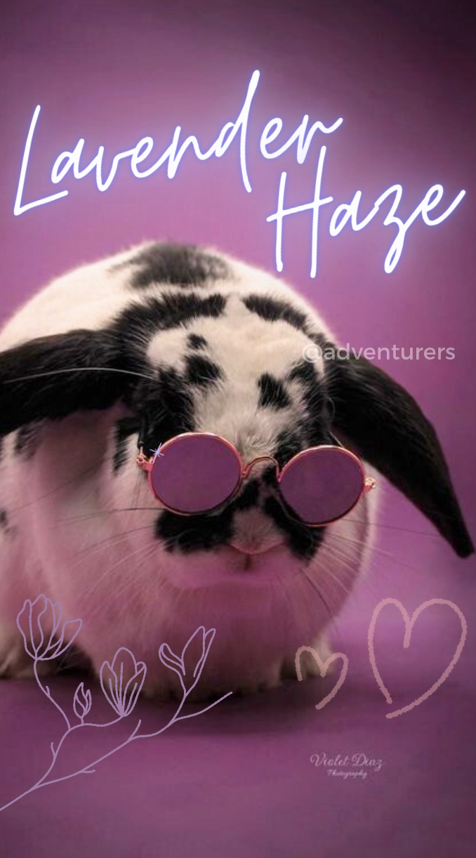 Screenshot 2026-01-20 at 9.47.34 PM.png