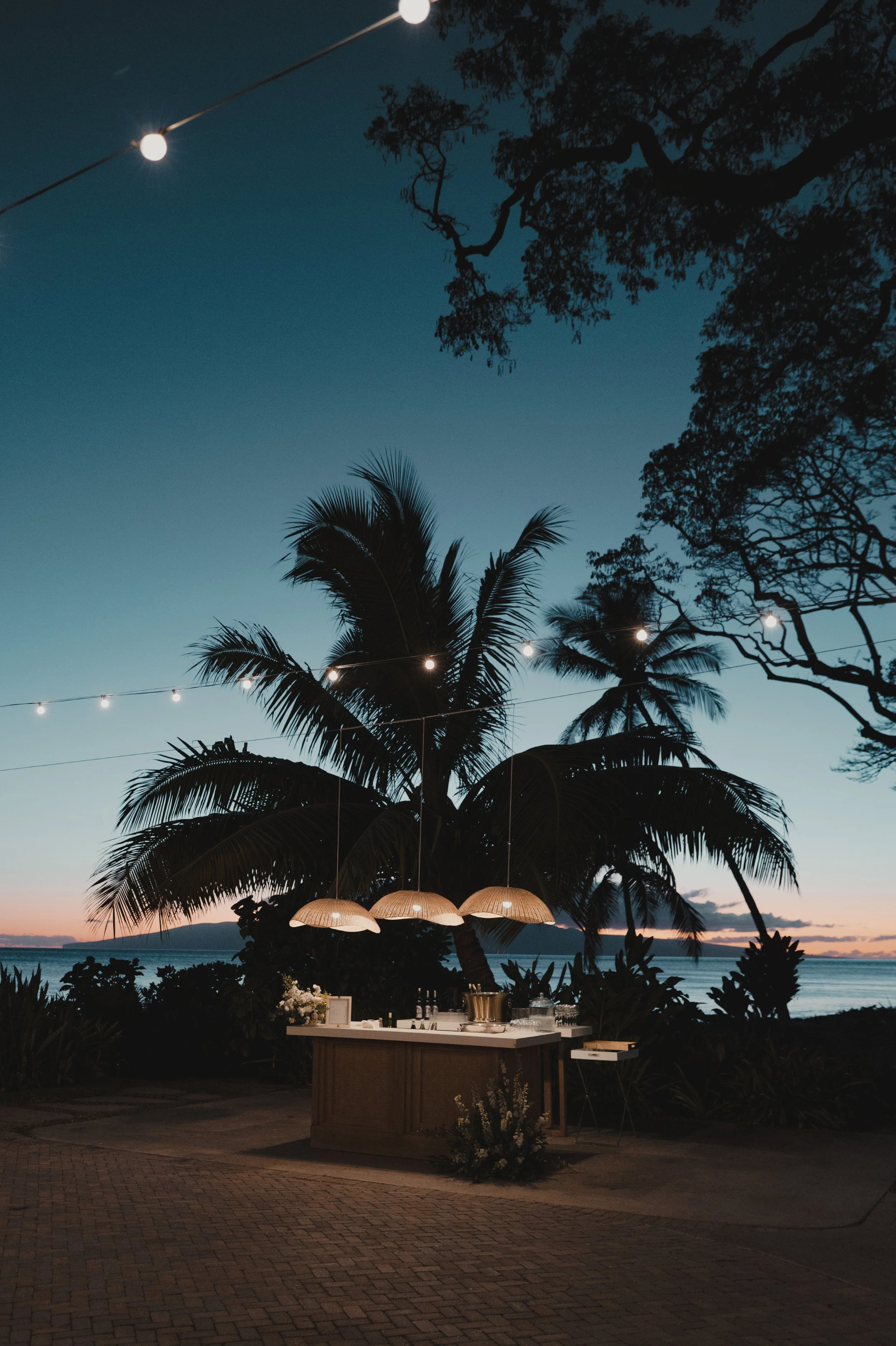David + Cindy-225.jpg
