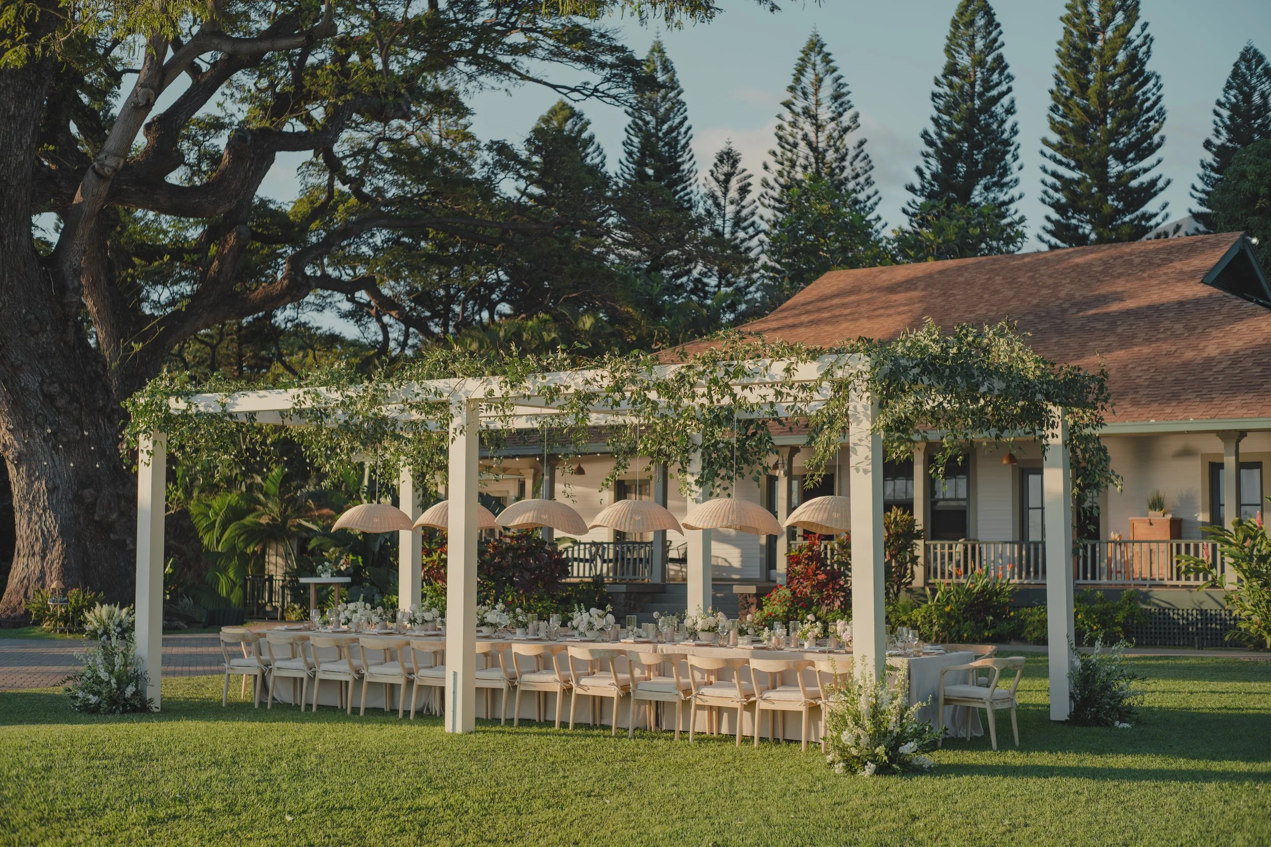 David + Cindy-461.jpg