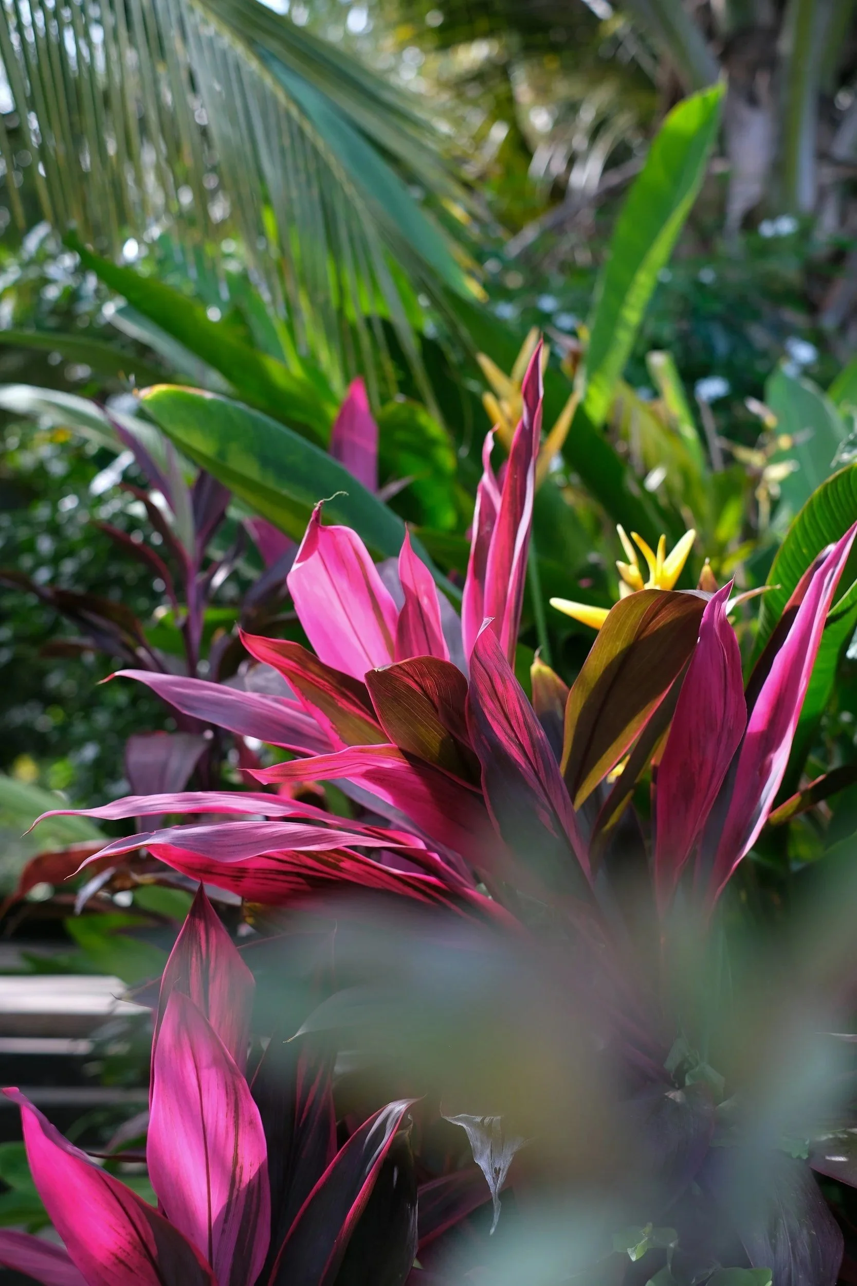 Luxury Landscaping in Costa Rica: Native Plants, Xeriscaping &amp; Sustainability