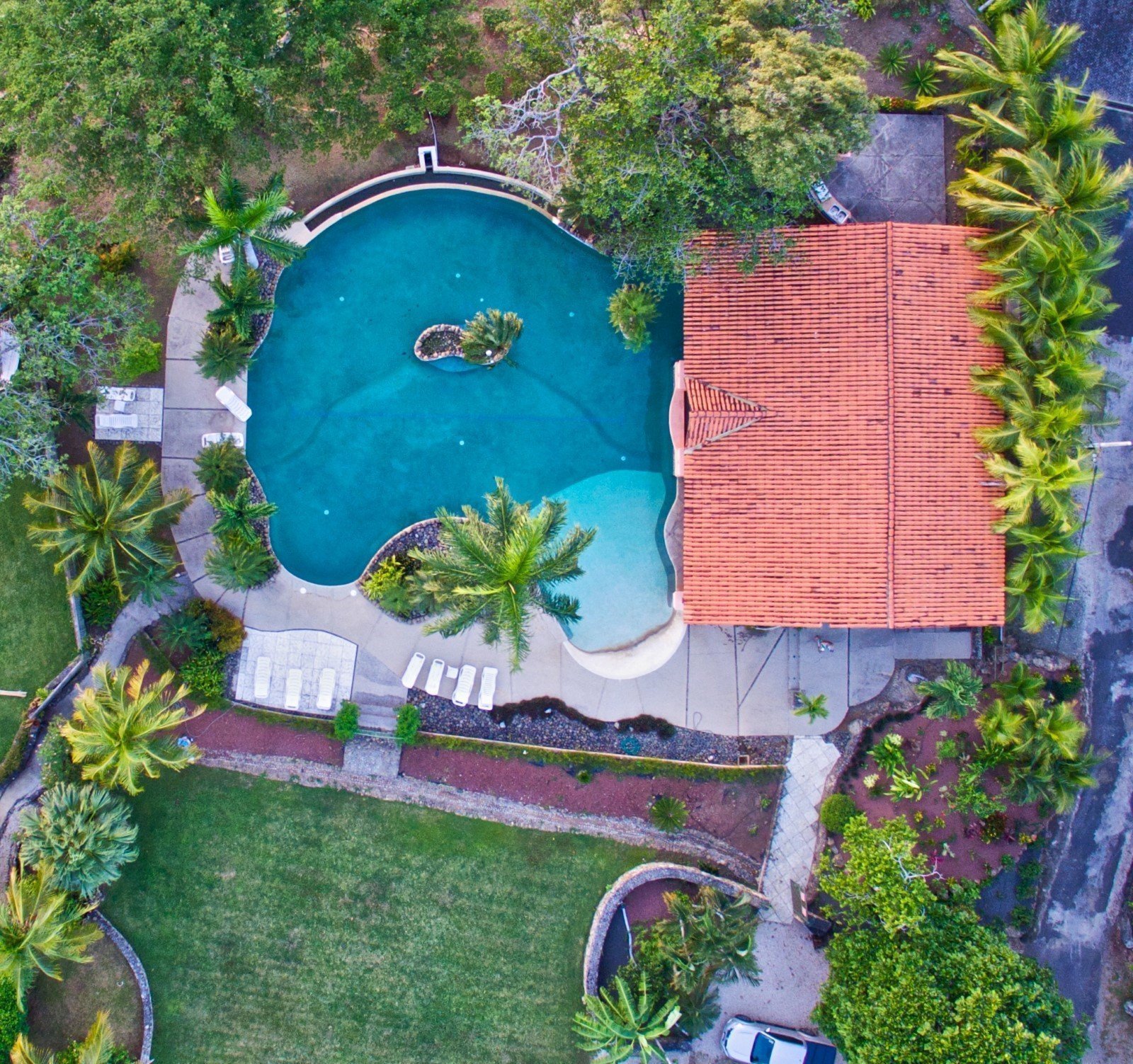 An aerial view of a backyard with a pool, surrounded by palm trees, a house with a red-tiled roof, a grassy lawn, and concrete pathways.