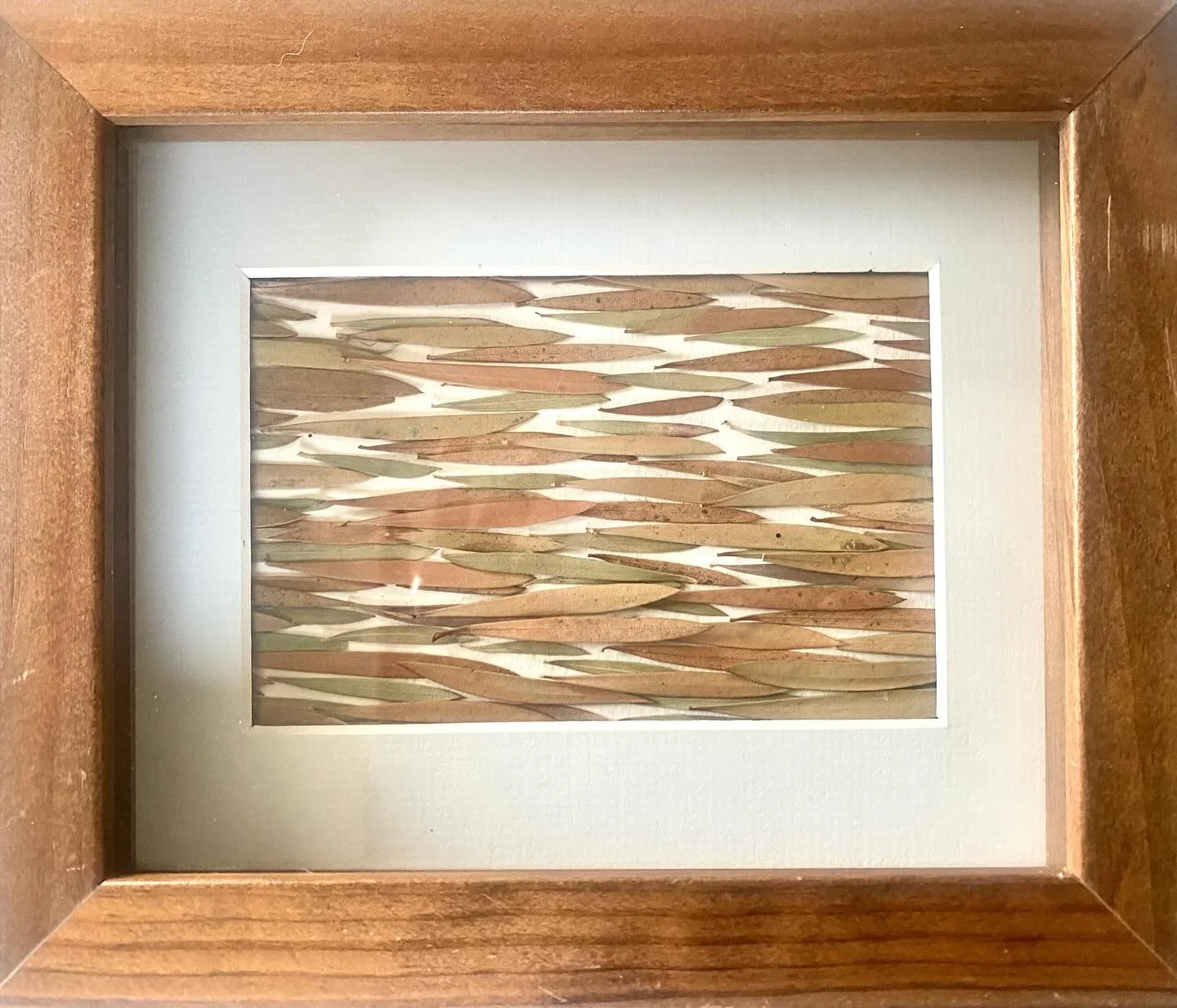 Four works all from one source 🌳 My process starts and ends by immersing myself in the nature that surrounds me regardless of place or region in the world. Sometimes the inspiration for these pieces can come from the one single source but transform 
