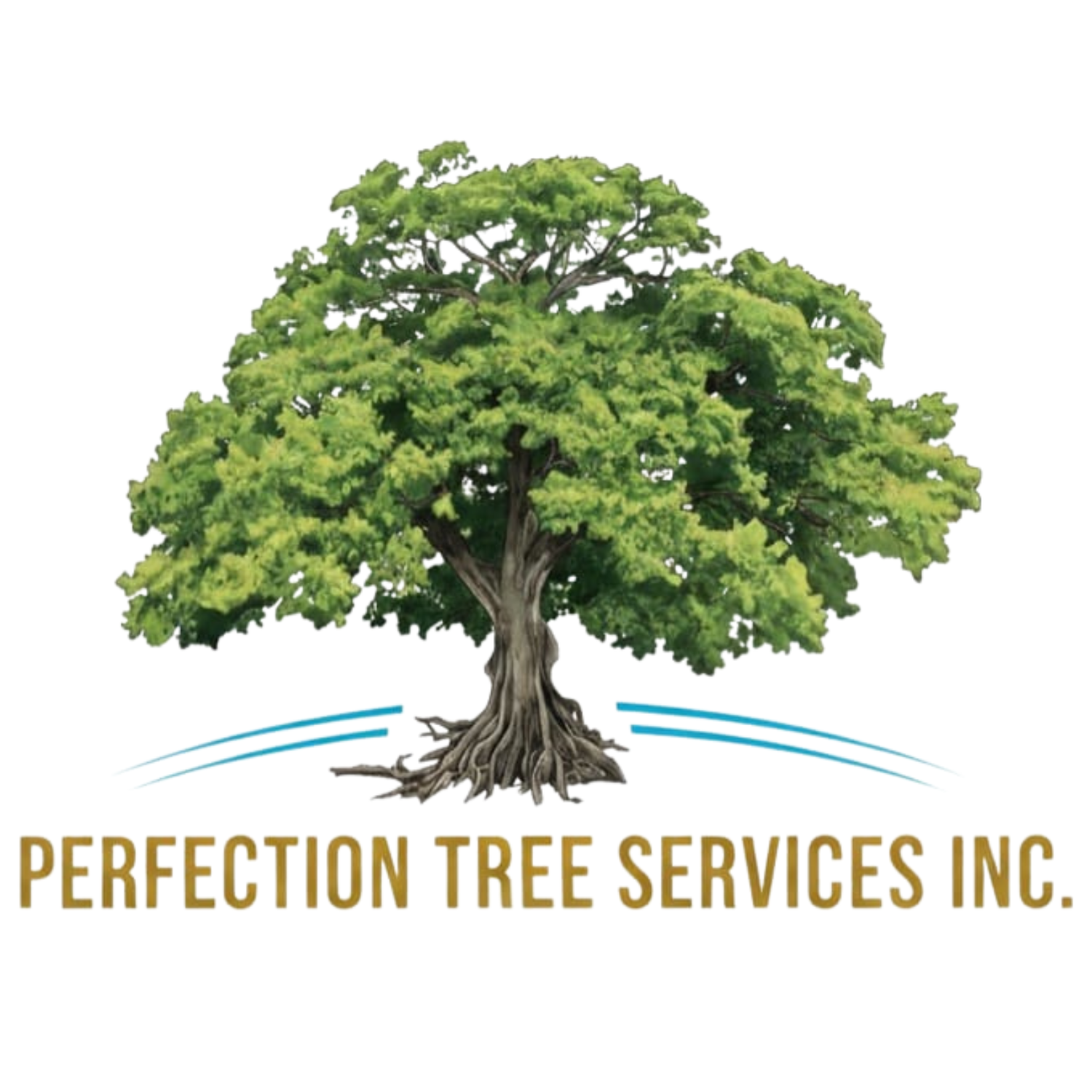 Perfection Tree Service, Inc. 