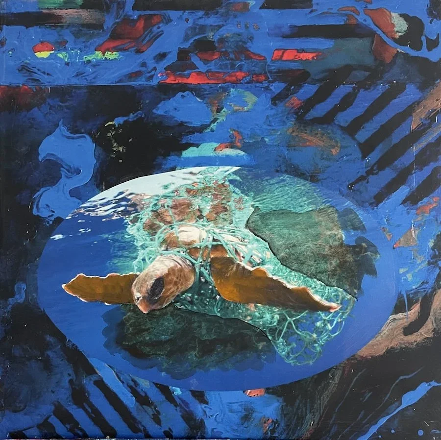 Trapped Turtle, Acrylic on canvas, 30 x 30 inches, 2025