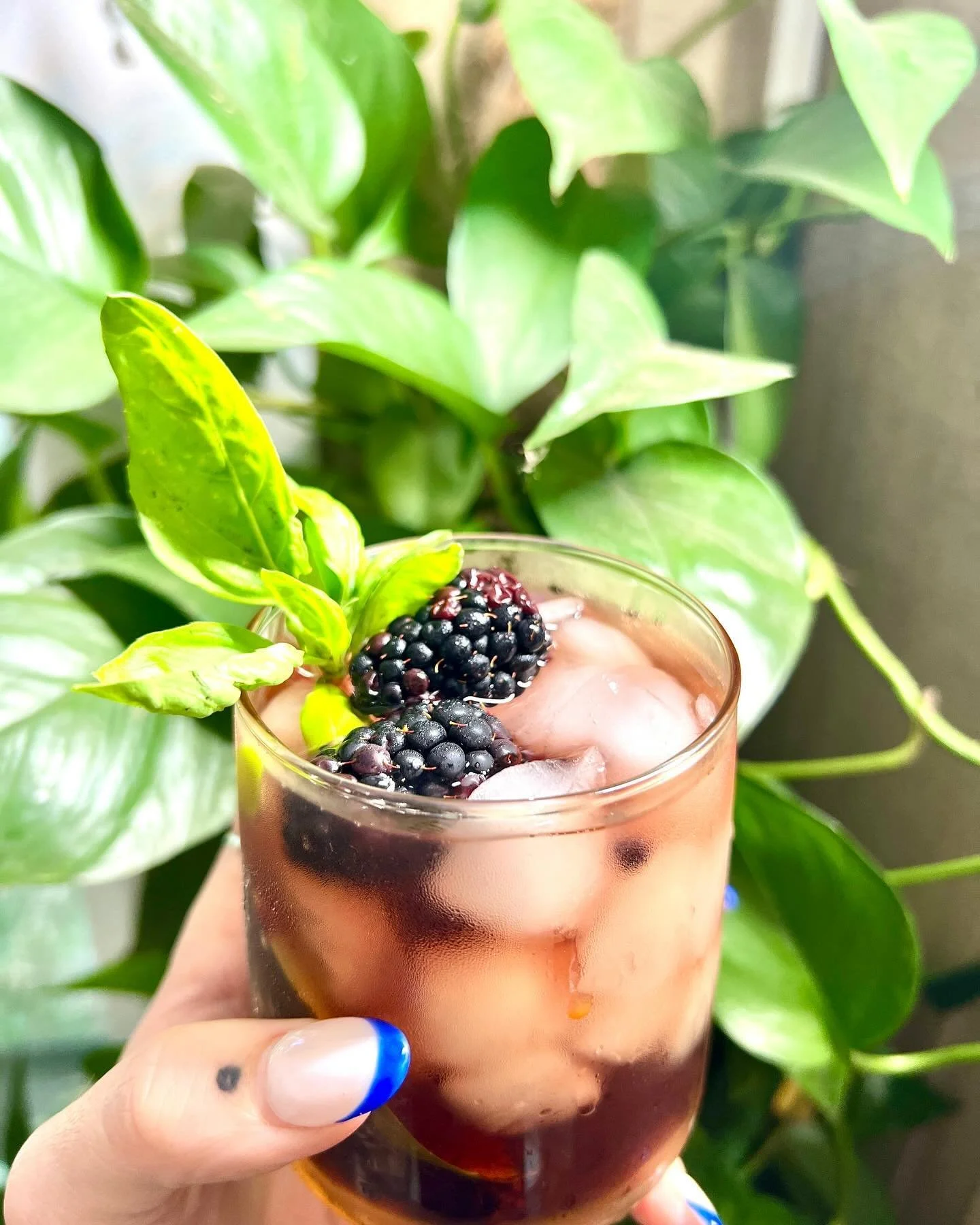 A little blackberry basil bourbon smash 🌱
You know what you&rsquo;re drinking this weekend?

#eventbartender #charlestonbartending #summervillebartending #bartender #mocktails #cocktails #bartenderforhire #mobilebartender