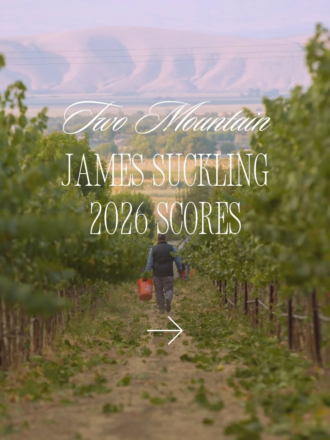 We are so proud to see our friends at Two Mountain Winery featured in James Suckling&rsquo;s latest Washington tasting report, Breaking Away from the Big and Bold!

This recognition reflects the dedication of Matt, Patrick, and the entire Two Mountai